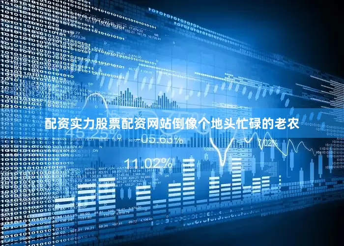 配资实力股票配资网站倒像个地头忙碌的老农