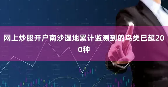 网上炒股开户南沙湿地累计监测到的鸟类已超200种